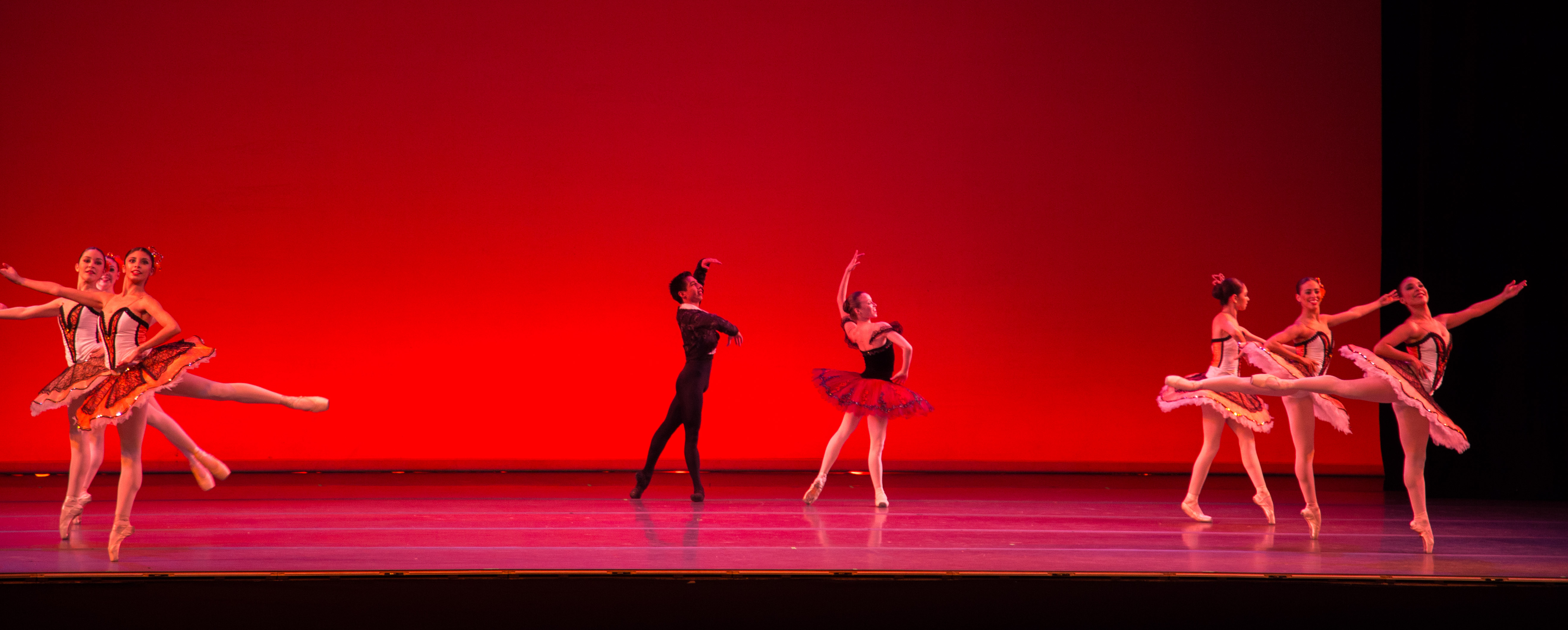 Gala De Ballet Joven Ballet De Jalisco Amapola Culturaamapola Cultura 7086