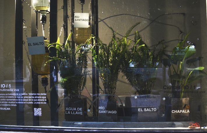 Las Plantas del Rio Santiago